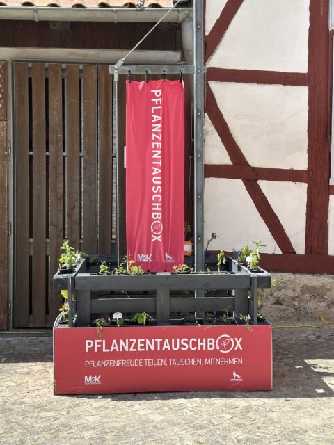 Pflanzentauschbox am Stadtmuseum