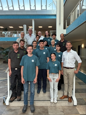 Workcamp unterstützt die Stadtforst